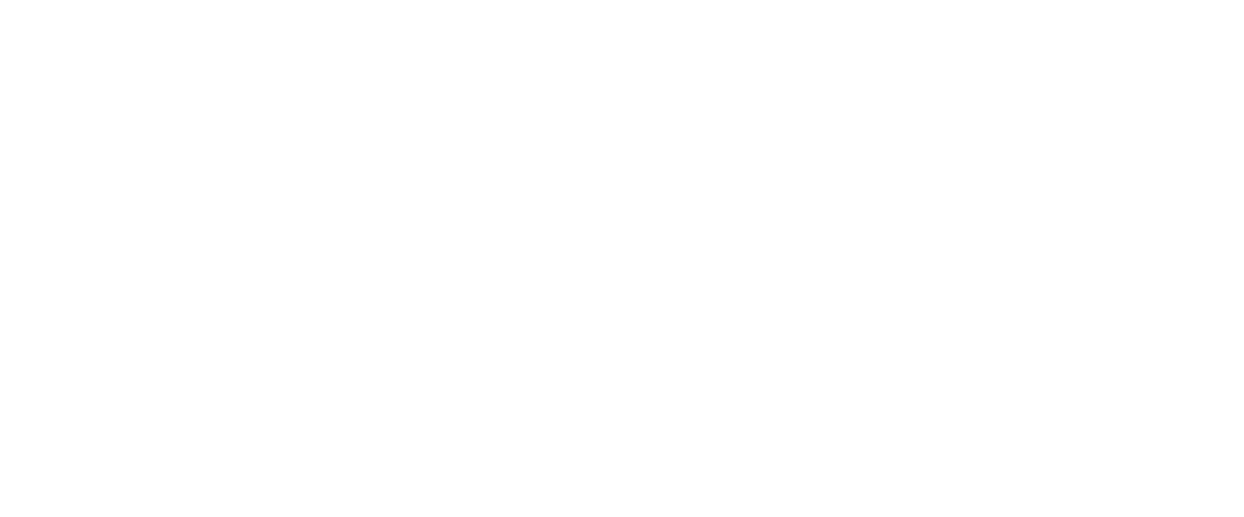 Phoenix Financial Consultants